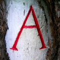 a-z_aafluegel.JPG