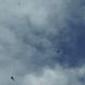 ahorn_himmel.JPG